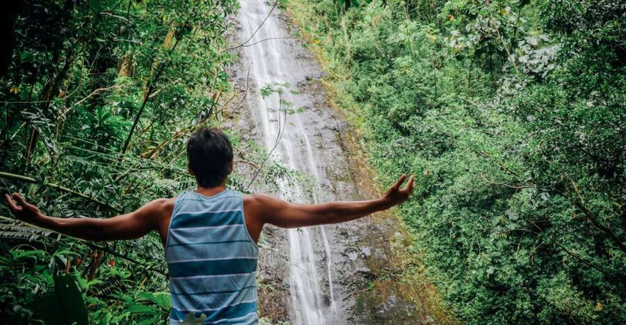Oahu: Manoa Falls Waterfall Hike with Lunch and Transfers - Entering Manoa Valley from Waikiki