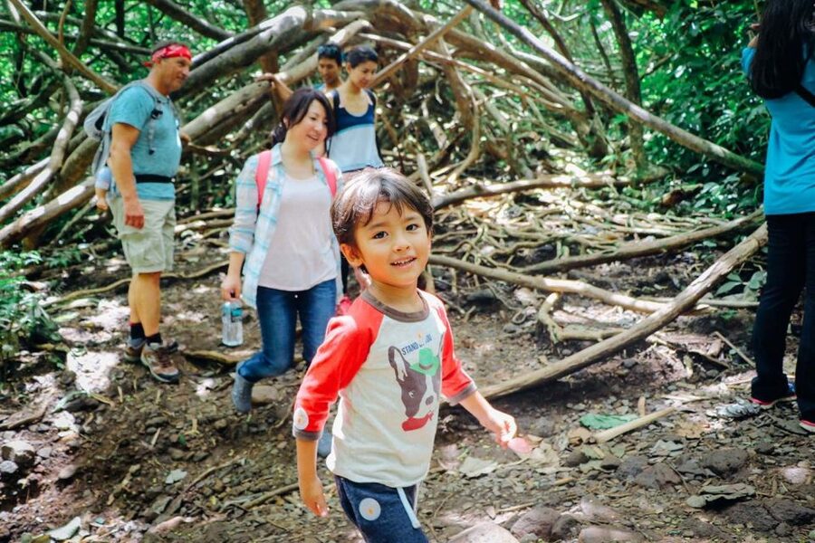 Oahu: Manoa Falls Waterfall Hike with Lunch and Transfers - The guides are the tour’s strongest extra
