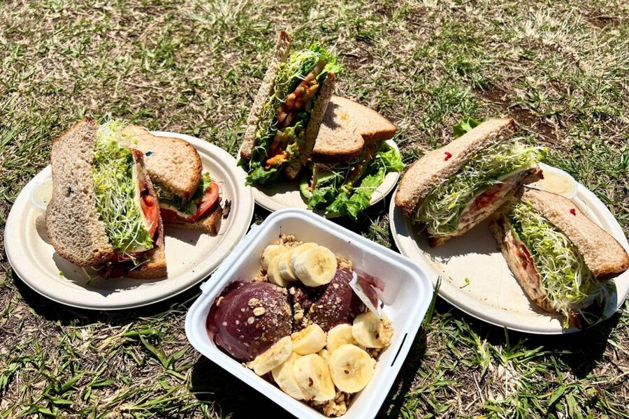 Oahu: Manoa Falls Waterfall Hike with Lunch and Transfers - Bamboo, birds, and movie scenery on the trail