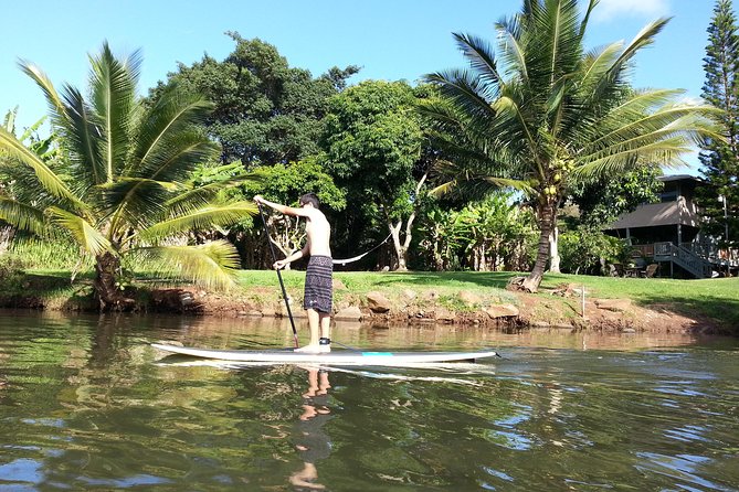 Oahu North Shore Experience: Activities, Waterfall & Free Time - Why this North Shore tour works better than a simple sightseeing loop
