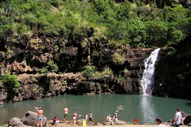 Oahu North Shore Experience: Activities, Waterfall & Free Time - A short stop at Tropical Farms