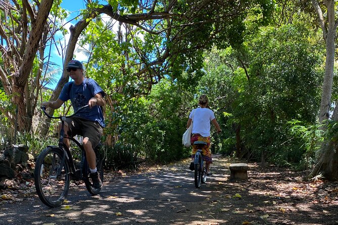 Oahu North Shore Experience: Activities, Waterfall & Free Time - The Dole Plantation drive-by