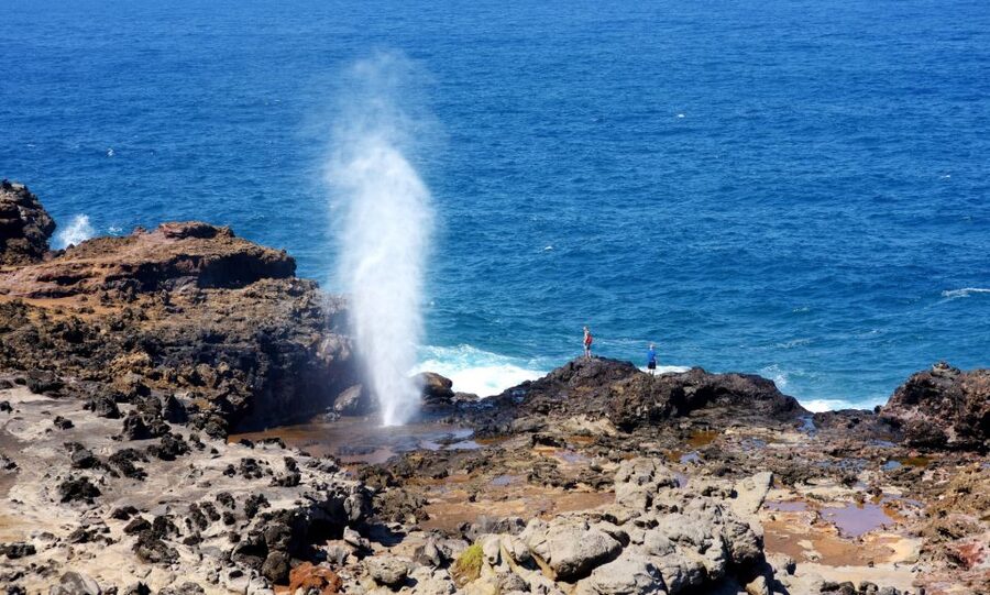 Oahu: Oahu Ultimate Grand Circle Island Tour - Why this tour works for a first day on Oahu