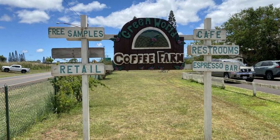 Oahu: Oahu Ultimate Grand Circle Island Tour - Lunch, tropical snacks, and the North Shore road