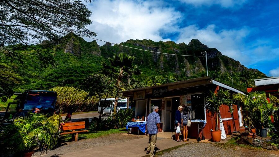 Oahu: Oahu Ultimate Grand Circle Island Tour - The guide can make or break the day