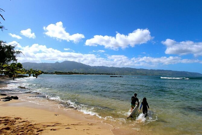 Oahu: Roundtrip Shuttle From Waikiki to Dole Plantation & Haleiwa - Waikiki pickup requires a little planning