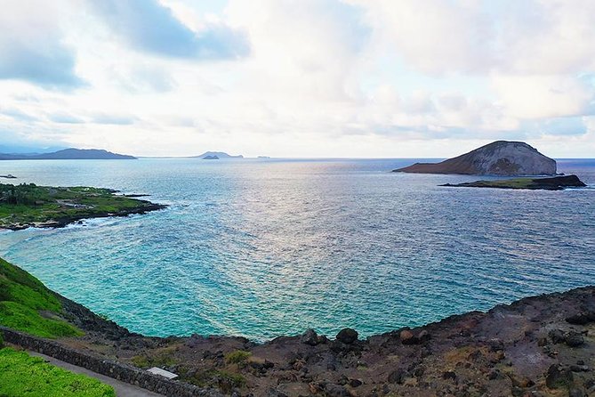 Oahu's Ultimate Tour: Dole, Turtle Snorkel, Pali Lookout & More - One long road trip around Oahu