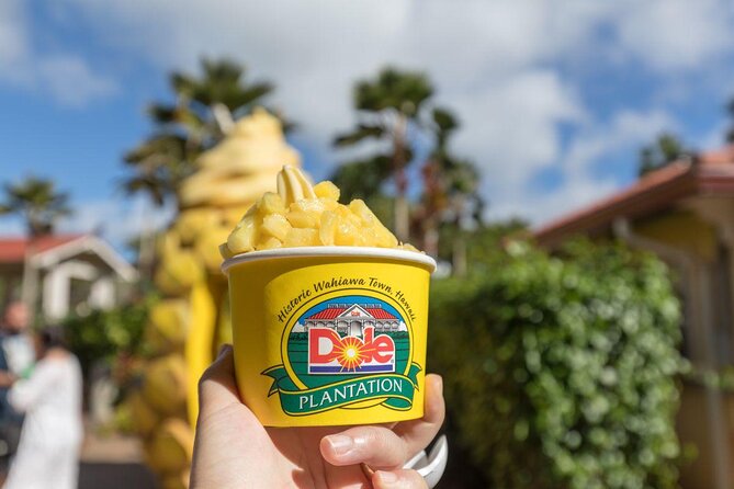 Oahu's Ultimate Tour: Dole, Turtle Snorkel, Pali Lookout & More - Macadamia nuts and North Shore food stops