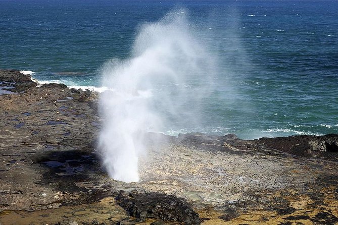 Oahu's Ultimate Tour: Dole, Turtle Snorkel, Pali Lookout & More - Haleiwa and the turtle snorkeling stop