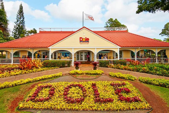 Oahu's Ultimate Tour: Dole, Turtle Snorkel, Pali Lookout & More - Dole Plantation and the final push home