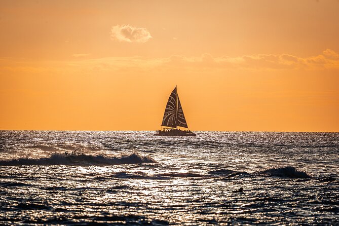 Oahu's Waikiki Coast: Moana’s Sunset Cocktail Sail - Wildlife from dolphins to winter humpbacks