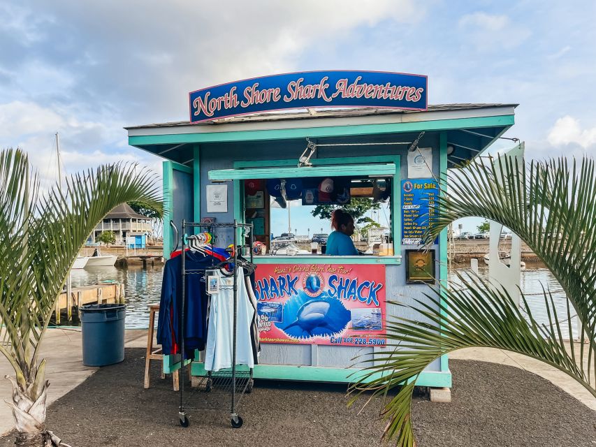 Oahu: Shark Cage Dive on the North Shore - The safety briefing and getting into the cage