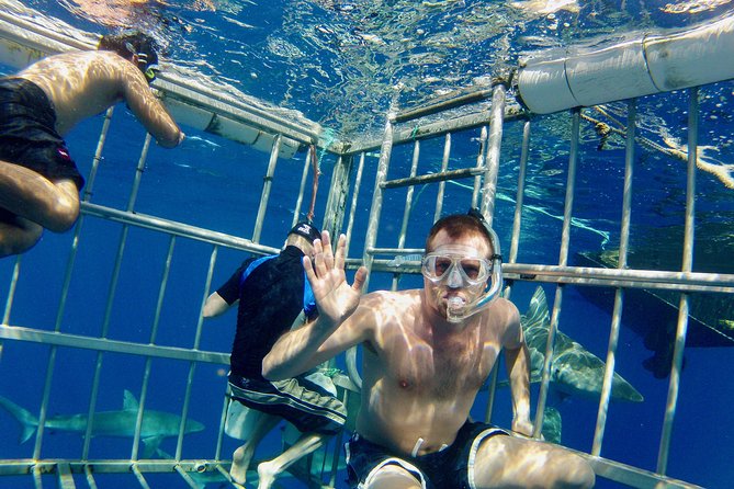 Oahu Shark Dive - Leaving Haleiwa for the open Pacific
