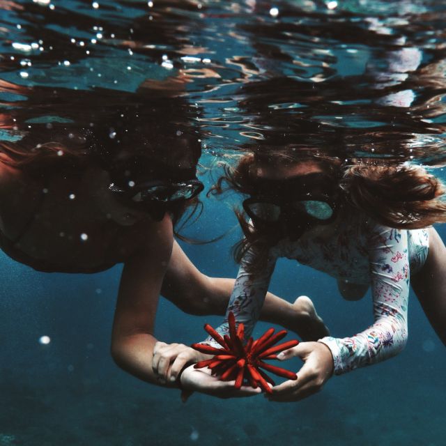 Oahu: Turtle Canyon Snorkeling Boat Tour - From Pier B to the open water