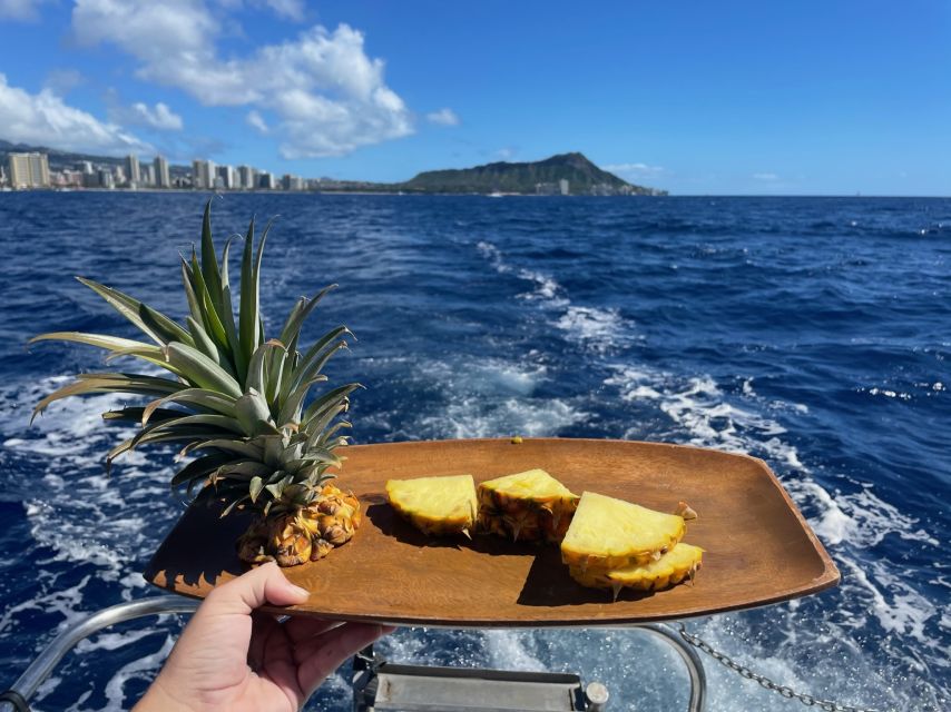 Oahu: Turtle Canyon Snorkeling Boat Tour - Is $85 a fair price?