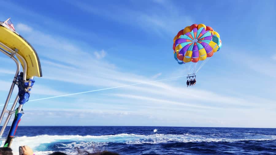 Oahu: Waikiki Parasailing - Above Waikiki, the city becomes part of the scenery