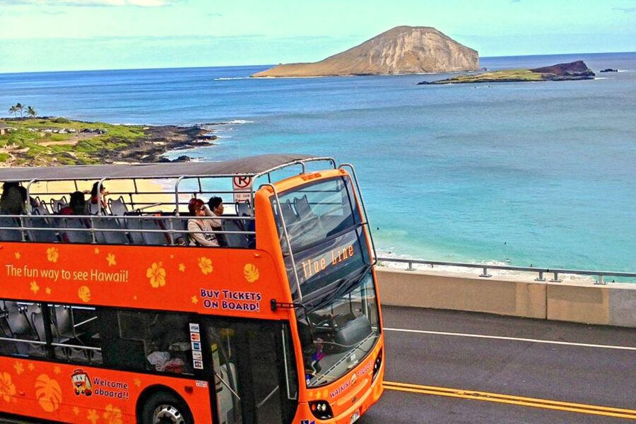 Oahu: Waikiki Trolley Hop-on Hop-off All-Line Pass - Who should book the all-line pass