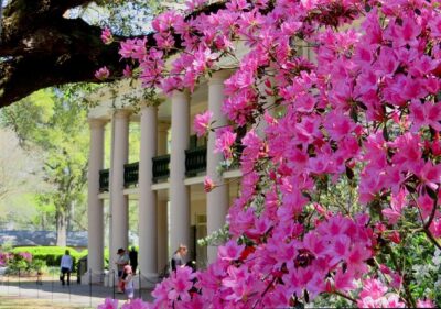 Oak Alley Plantation Tour with Transportation from New Orleans