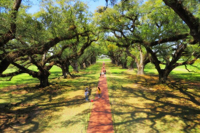 Oak Alley Plantation Tour with Transportation from New Orleans - Confronting the plantation’s harder history