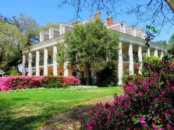 Oak Alley Plantation Tour with Transportation from New Orleans - Time on the grounds, café, and gift shop