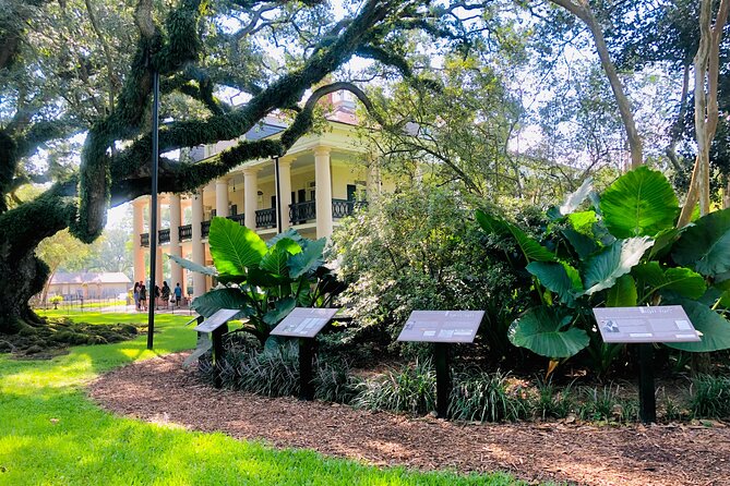 Oak Alley Plantation Tour with Transportation from New Orleans - Adding the 90-minute swamp tour
