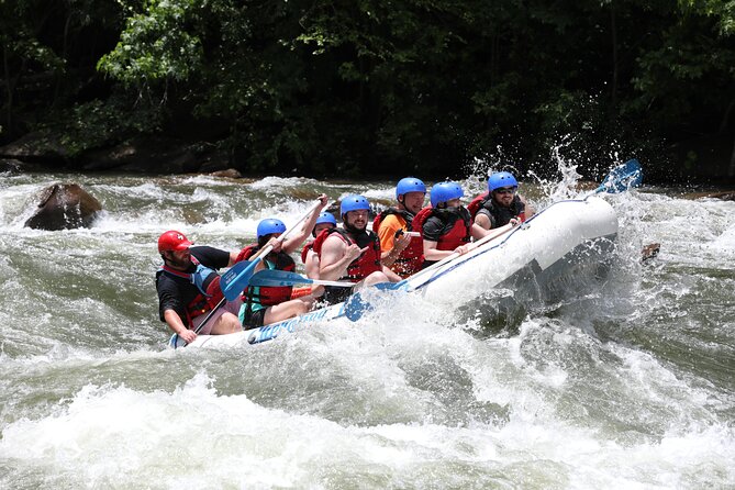 Ocoee River Middle Whitewater Rafting Trip (Most Popular Tour) - The scenery between the rapids