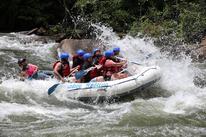Ocoee River Middle Whitewater Rafting Trip (Most Popular Tour) - Price and what the $48 includes