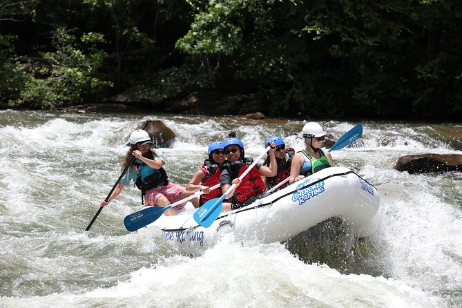 Ocoee River Middle Whitewater Rafting Trip (Most Popular Tour) - Who should book this rafting trip