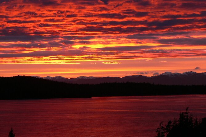 Off the Beaten Path Ketchikan Photo Safari - 3 hr. - Harris Street Bridge and the salmon run