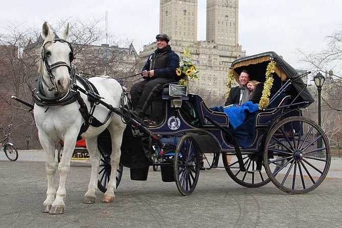 Official NYC Horse Carriage Rides in Central Park since 1979 ™ - Wollman Rink and the park’s southern edge
