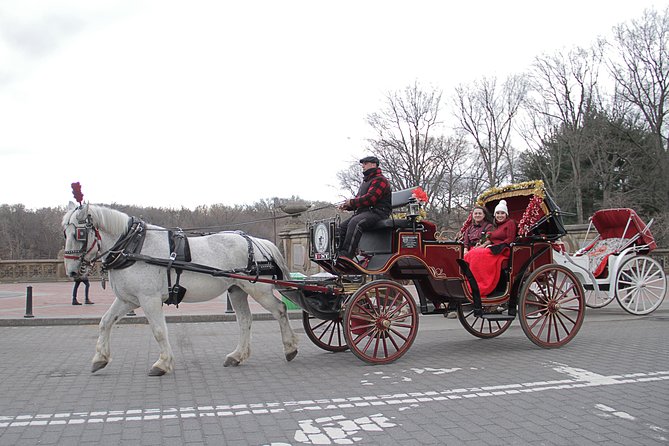 Official NYC Horse Carriage Rides in Central Park since 1979 ™ - Bethesda Terrace and Fountain