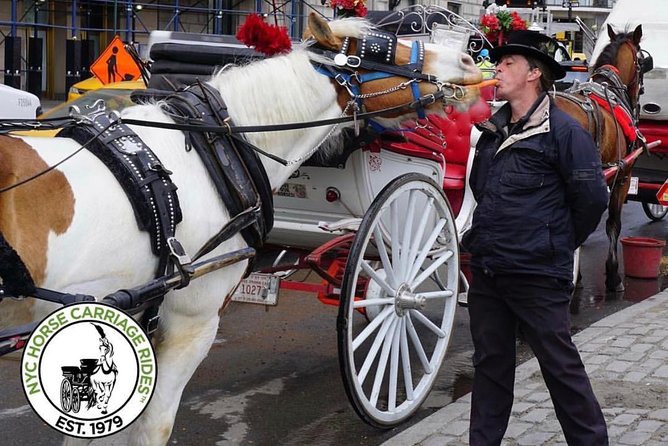 Official NYC Horse Carriage Rides in Central Park since 1979 ™ - Cherry Hill and Bow Bridge