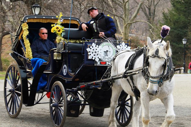 Official NYC Horse Carriage Rides in Central Park since 1979 ™ - What the guides add to the ride