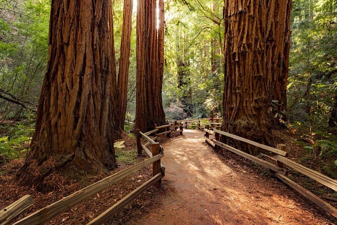 One Day in San Francisco: Alcatraz, Muir Woods, and SF City Tour - Key things to know before you book