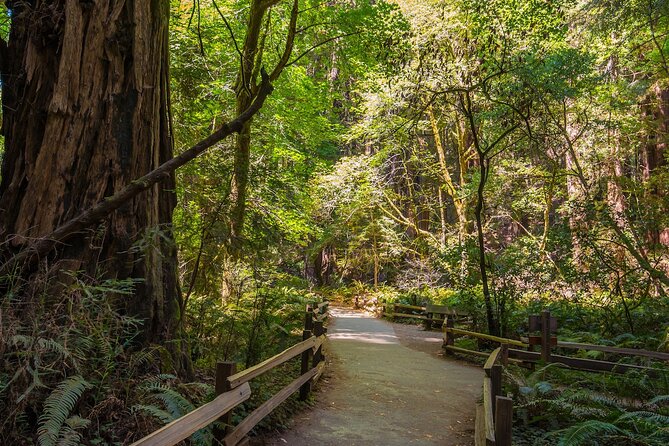 One Day in San Francisco: Alcatraz, Muir Woods, and SF City Tour - Pacific Heights and the Presidio