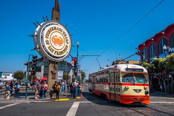 One Day in San Francisco: Alcatraz, Muir Woods, and SF City Tour - Muir Woods and the giant redwoods