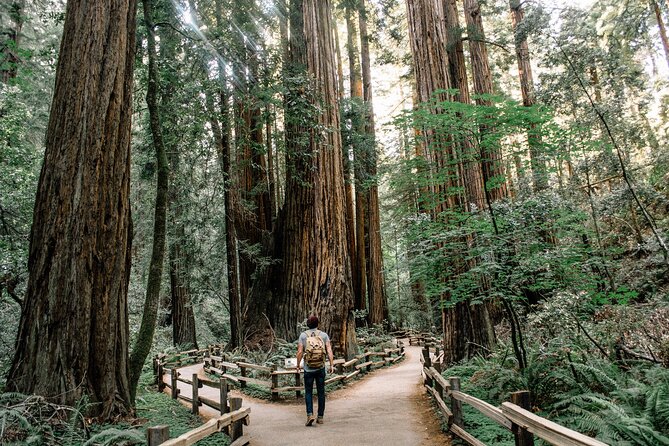 One Day in San Francisco: Alcatraz, Muir Woods, and SF City Tour - Comfort, group size, and timing