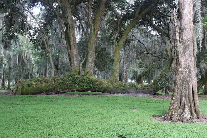 One-Hour Airboat Ride Near Orlando - The Native American Experience