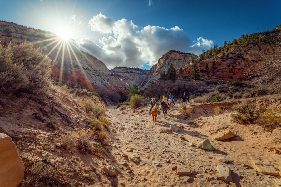 Orderville: East Zion Park White Mountain Horseback Tour - A cowboy-style outing in East Zion