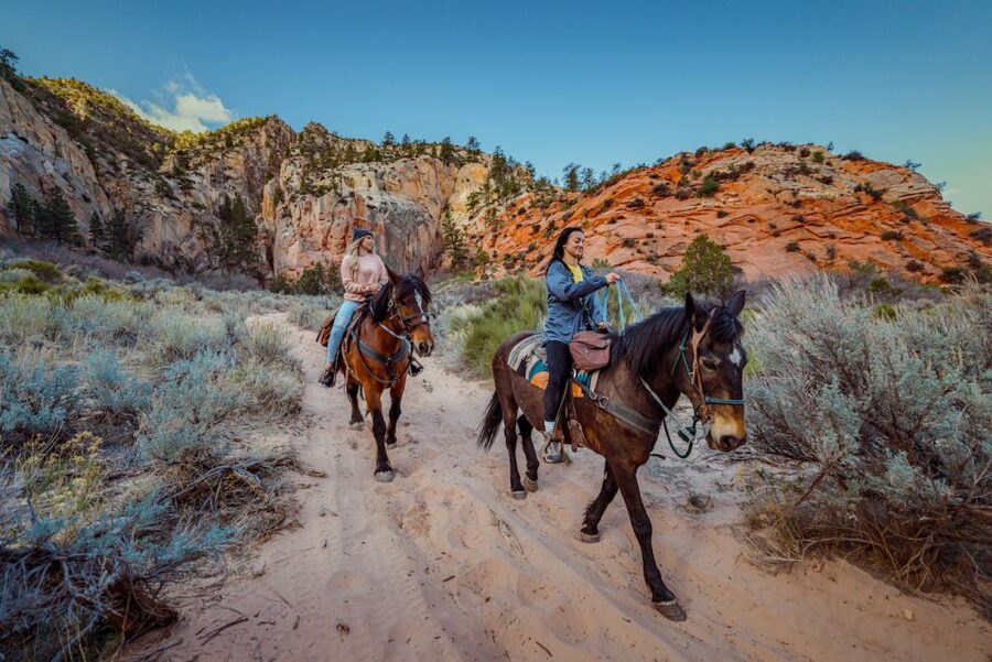 Orderville: East Zion Park White Mountain Horseback Tour - Matching riders with calm horses