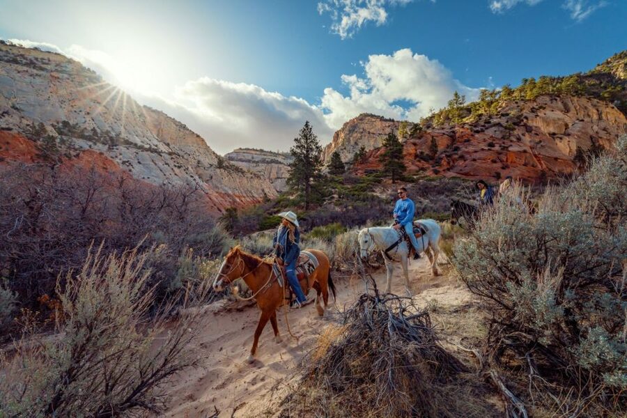 Orderville: East Zion Park White Mountain Horseback Tour - Returning to the corrals