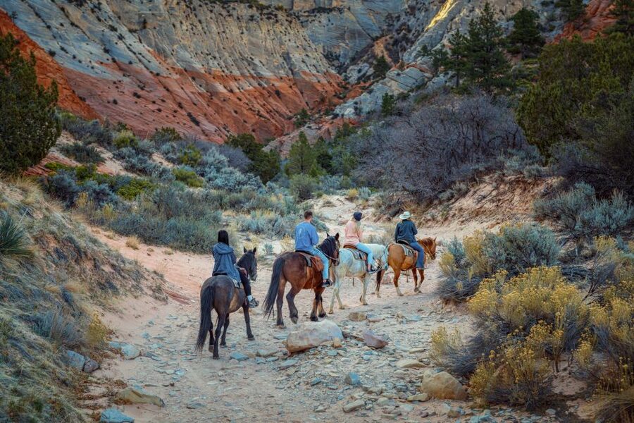 Orderville: East Zion Park White Mountain Horseback Tour - Practical planning for weather and clothing