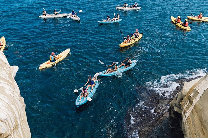 Original La Jolla Sea Cave Kayak Tour for Two - La Jolla Ecological Reserve and its sea life