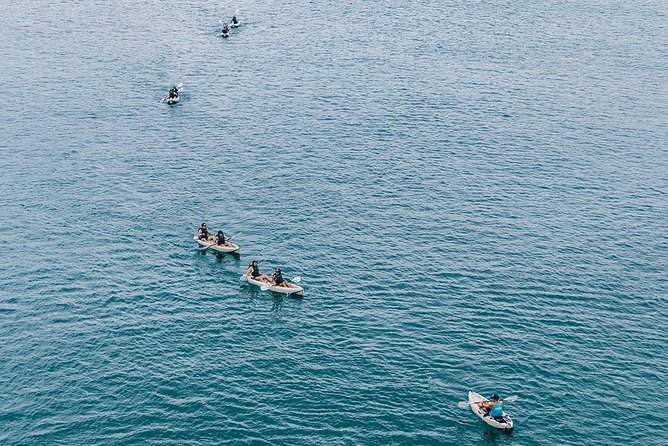 Original La Jolla Sea Cave Kayak Tour for Two - Parking, arrival, and meeting point