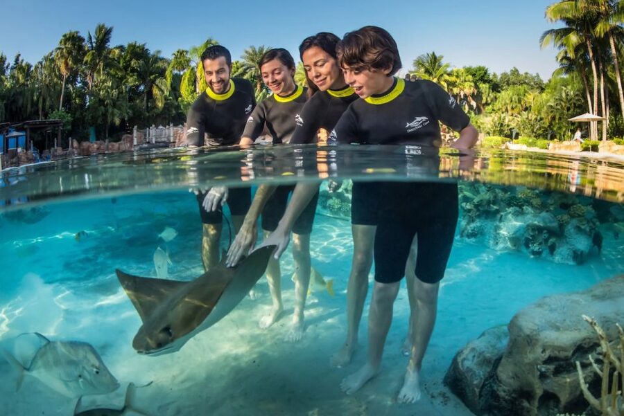 Orlando: Discovery Cove Admission Ticket & Additional Parks - A calmer alternative to Orlando’s big theme parks