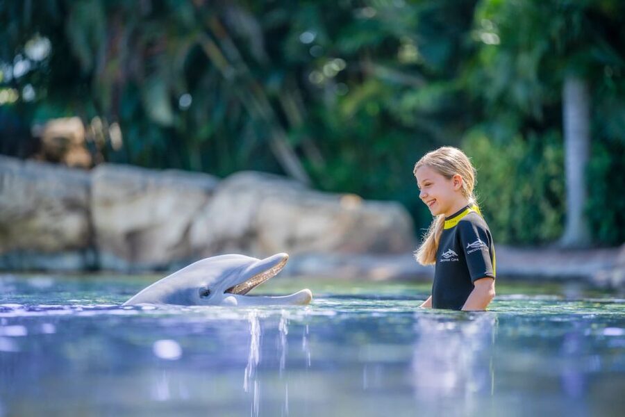 Orlando: Discovery Cove Admission Ticket & Additional Parks - Add the other parks only if you have the time