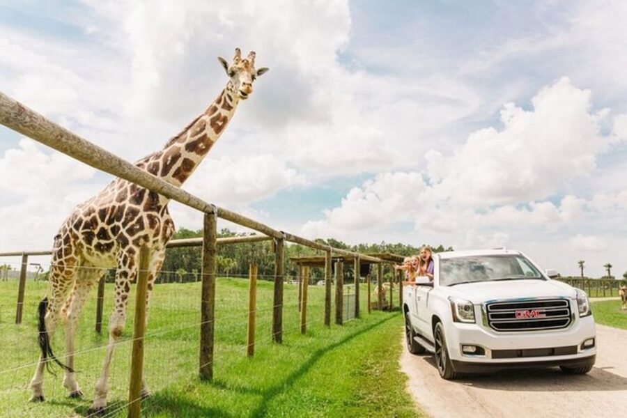 Orlando: Drive-Thru Safari Park at Wild Florida - Key things to know before you go