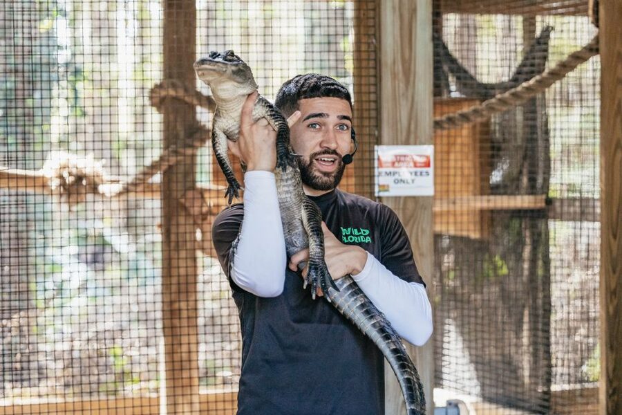 Orlando: Drive-Thru Safari Park at Wild Florida - Giraffe feeding is the standout extra