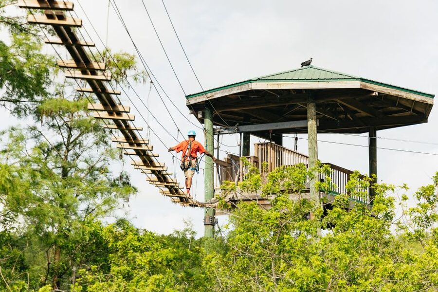 Orlando: Gatorland Skip-the-Line Ticket - Aviary, petting zoo, and small animal encounters