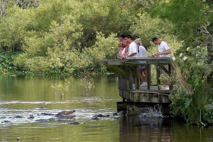 Orlando: Gatorland Skip-the-Line Ticket - Optional rides can change the total cost